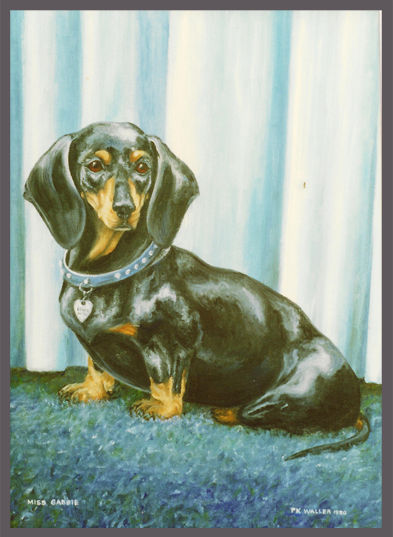 gabby dachshund